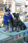 2006-12-17 下午 01-45-43_0125