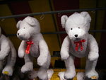 White bear