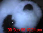 DSC00050