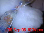 DSC00055