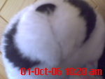 DSC00061