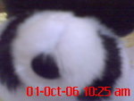 DSC00063