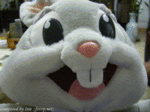 Bunny