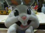 Bunny