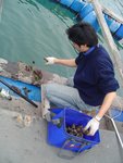 DSC02919