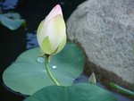 DSC07764