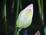 DSC07775