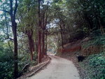 田夫仔露營場外