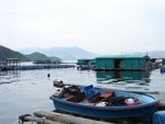 DSC07330