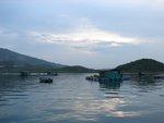 DSC07355