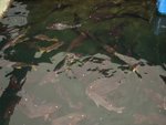 DSC07364