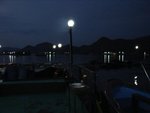 天黑裡的魚排