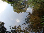 DSC05546