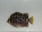 DSC05909