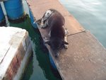 DSC00044