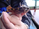 DSC00021