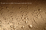 080907-Water Drops