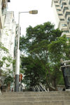 DSC_1218-p