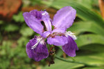 DSC_0503-p