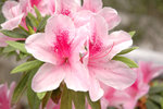 DSC_0512-p