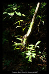 DSC05343-p