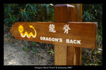 DSC05345-p