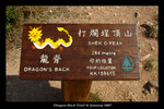 DSC05369-p