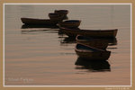 DSC_0852-s