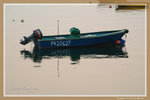 DSC_0857-s