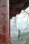 DSC_0891-p