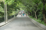 DSC_0919-p
