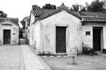 DSC_8311-p