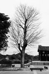 DSC_8314-p