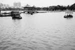 DSC_8333-p