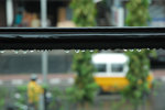 DSC_3918-p