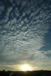 DSC_4033-p