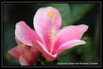 DSC_6148-p