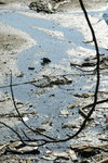 DSC_3740-p