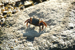 DSC_3764-p