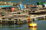 DSC_3798-p