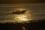DSC_3817-p