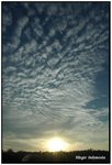DSC_4033_p2