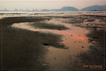 DSC_0024-p