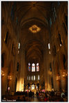 DSC_3435-p