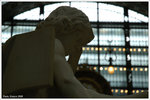 DSC_3502-p