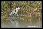 DSC_5703-p2