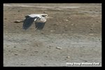 DSC_5860-p2