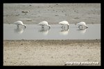 DSC_5887-p2