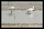 DSC_5892-p2