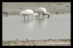 DSC_5897-p2